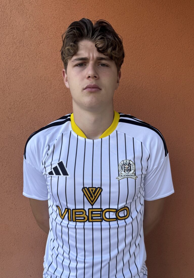 DI MARTINO ALESSANDRO